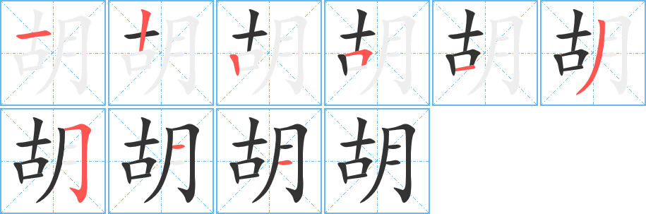 胡字的笔顺笔画顺序